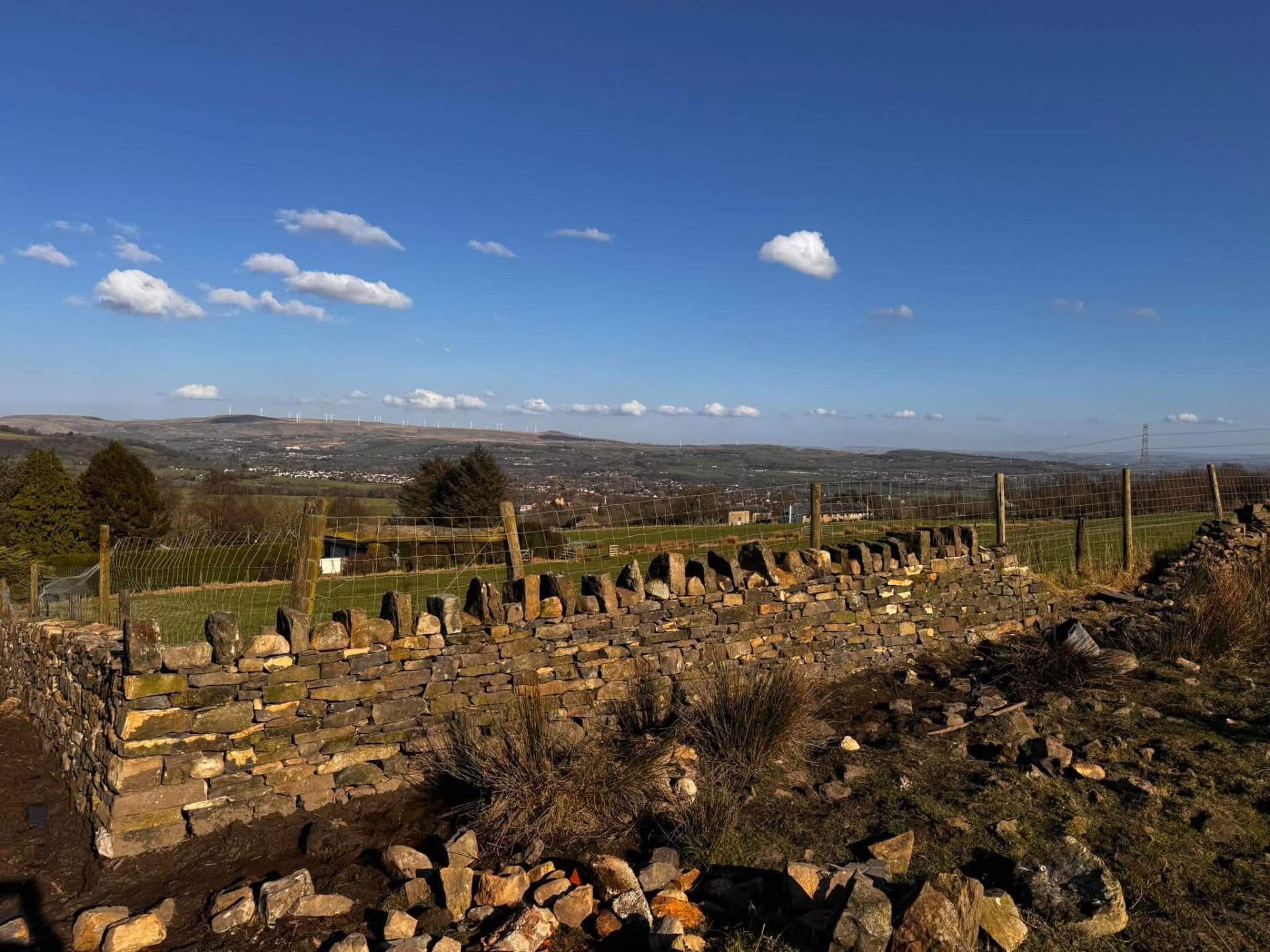 Field boundary wall with upright coping stones on a hillside pasture
