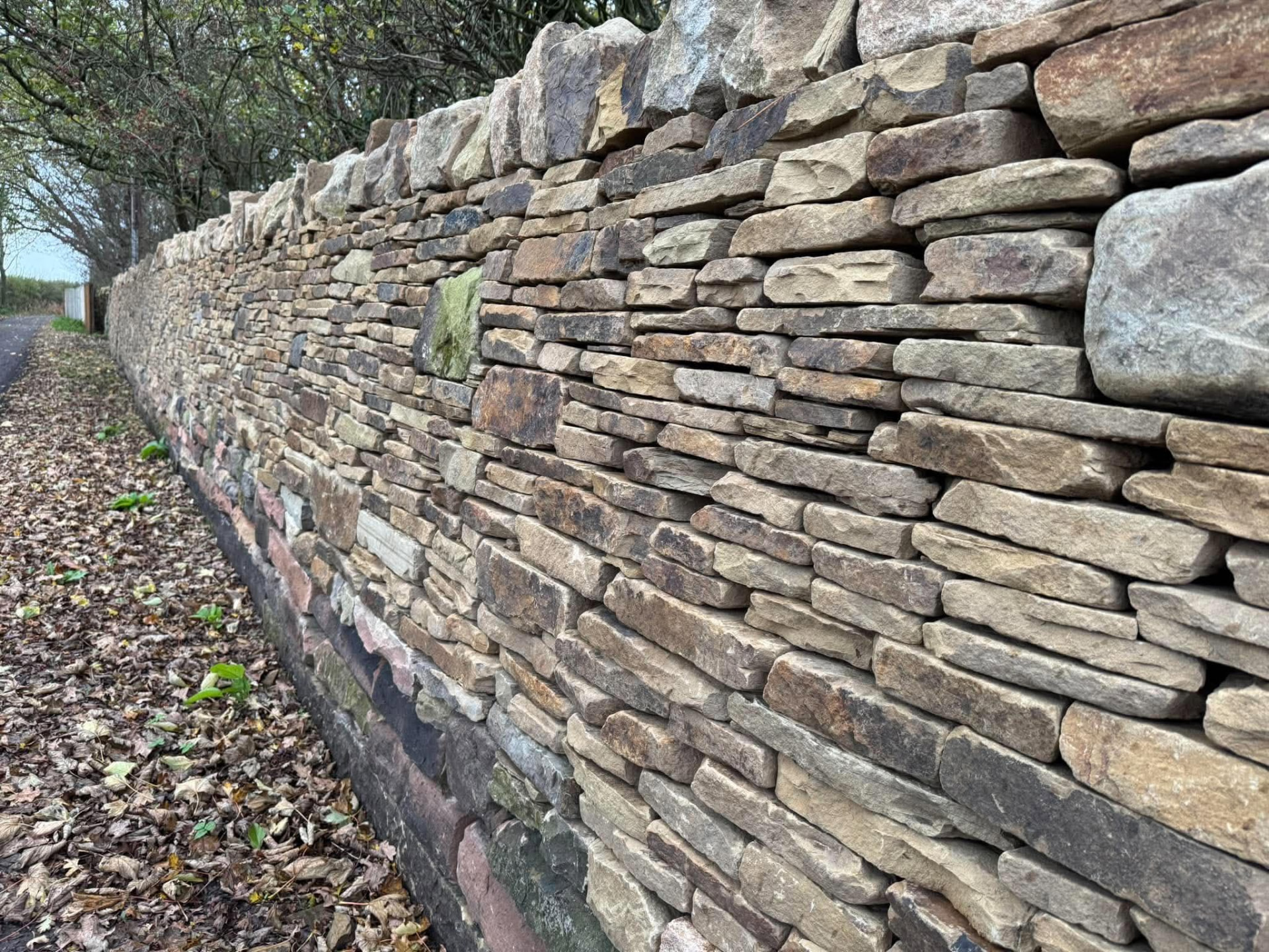 Dry stone boundary wall running along a leaf-covered country lane